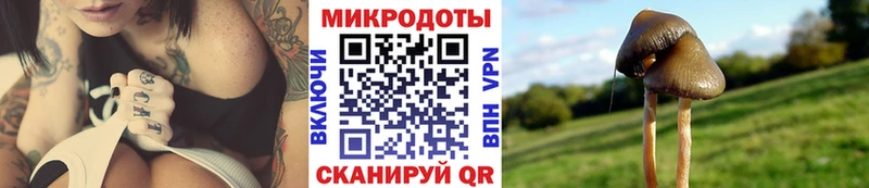 Псилоцибиновые грибы мухоморы  Купить где  Мезень 